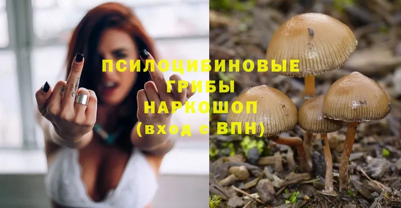 Галлюциногенные грибы Magic Shrooms  где купить   ОМГ ОМГ tor  Духовщина 